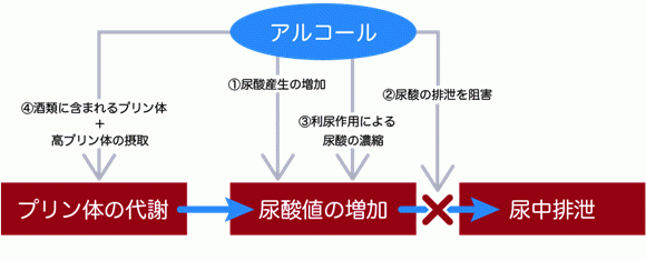 アルコールによって尿酸値が上昇する
